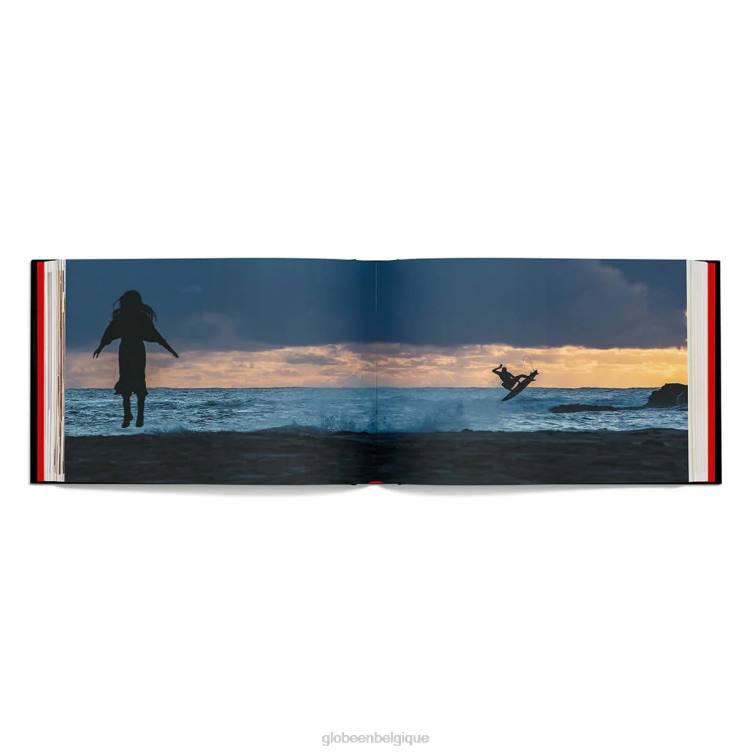 assorti Globe Brand livre sombre et creux V20N359