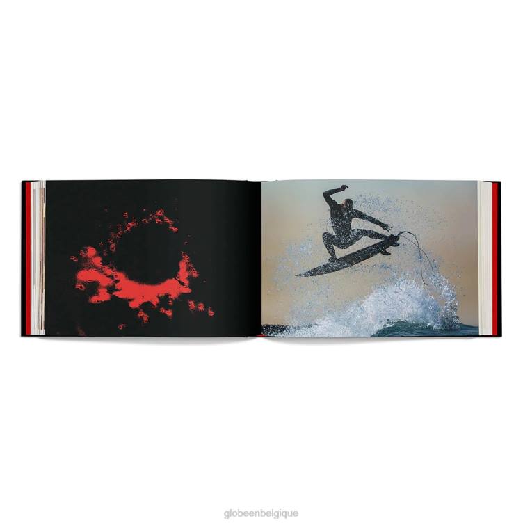 assorti Globe Brand livre sombre et creux V20N359