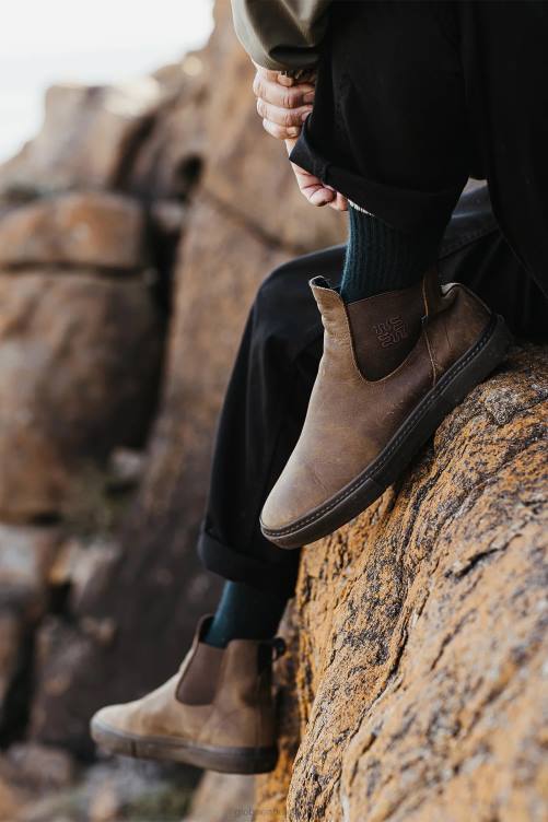 brun foncé/talent gaspillé Globe Brand dover ii talent gaspillé V20N13