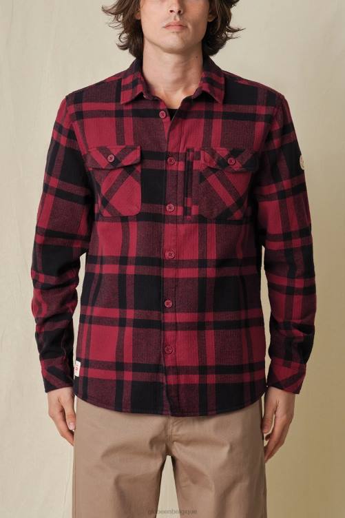 Rhubarbe Globe Brand cabane de vagabond V20N315