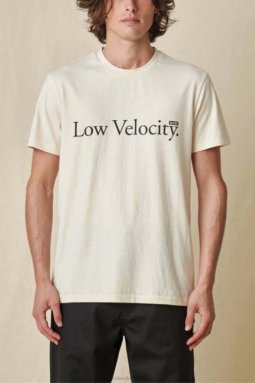 Colorant tee shirt hot sale